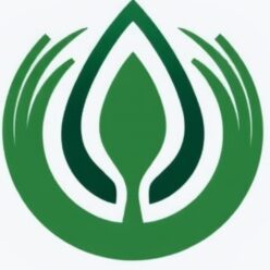 Theevergreeninit